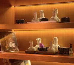 -东英经典SKIN&SPA