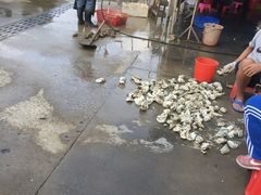 -蚝专家(北滘店)