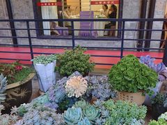 -山菌美食苑(振兴路店)