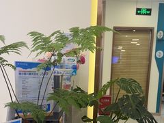 -维乐口腔(美维云门诊陆家嘴店)