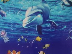 -太平洋海底世界