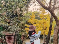 -八大关景区