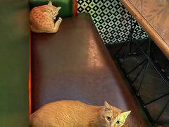 -回头客音乐清吧(中山路店)