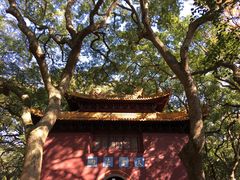 -普陀山风景名胜区-法雨禅寺