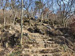 -南京老山国家森林公园
