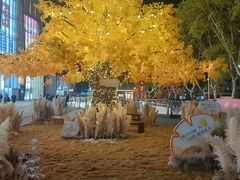 -湖影中餐厅·南京金茂威斯汀大酒店