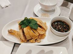 三黄鸡-沈大成(南京东路店)