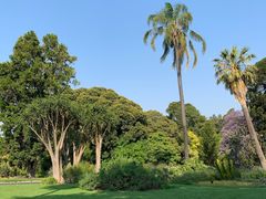 -墨尔本皇家植物园