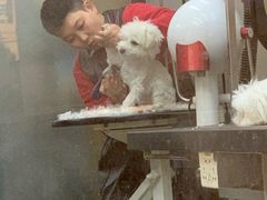 -PETKIT小佩宠物·低压洗护(国顺东路店)