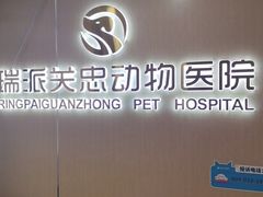 -瑞派·关忠动物医院·猫专科·犬专科(三环新城店)