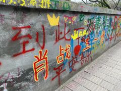 -黄桷坪涂鸦艺术街