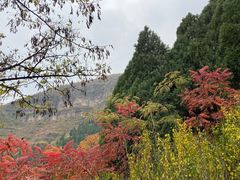 -狼牙山风景区