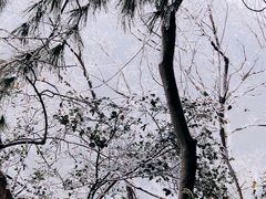 -马仁奇峰