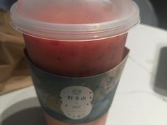 -野萃山·潮汕厚果汁(十亩地店)