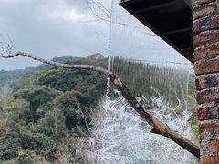 -龙岩森林水乡景区
