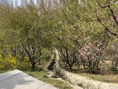-河北省园博园