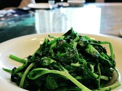 清炒豌豆尖-富乐山酒店(西黄城根北街店)