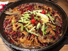 -老板恋上鱼(印象城店)