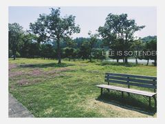 -福建鲤鱼洲酒店