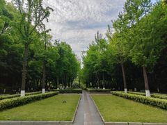 -苏州河梦清园环保主题公园