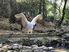 -燕塞湖鸟语林景区