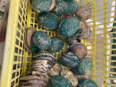 -广东名门