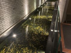 -晶采轩(虹桥路店)