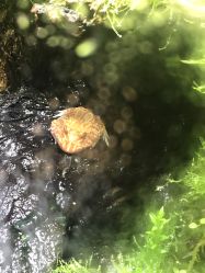 -酷嗒动物文化乐园(cutezoo西溪乐天城店)