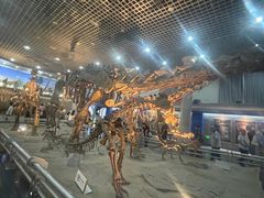 -国家自然博物馆