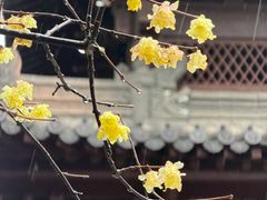 -钱王祠