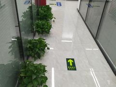 -新航道雅思托福·留学·考研培训(人民广场校区)