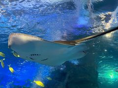 -太平洋海底世界