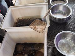 -夏家大锅台炖鱼馆