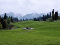 -新疆那拉提国家旅游度假区