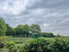 -中国茶叶博物馆(双峰馆区)