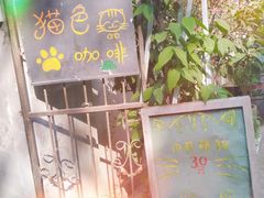 -猫色咖啡·猫咖