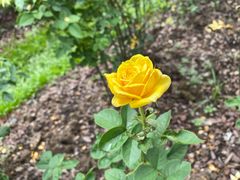 -人民公园(罗湖区)