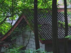 -峨眉山报国寺