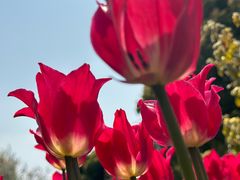 -玄武湖景区-情侣园游乐场