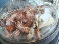 -半岛听涛蒸汽海鲜自助(K11店)