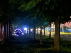 -春花秋色城市公园