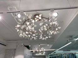 -潘多拉Hairsalon