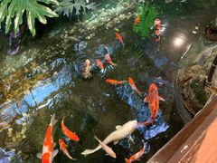 -聚缘堂·海鲜私房菜(松岭路店)