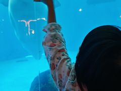 -海合安成都极地海洋公园