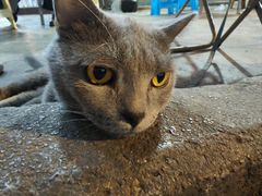 -小板凳(四公里店)