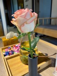 -FineYoga梵音瑜伽·普拉提