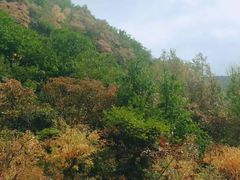 -北京灵山风景区