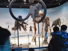 -辽宁古生物博物馆