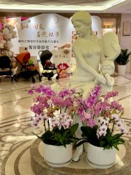 -馨月汇·独栋月子会所(静安店)