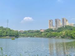 -重庆彩云湖湿地公园